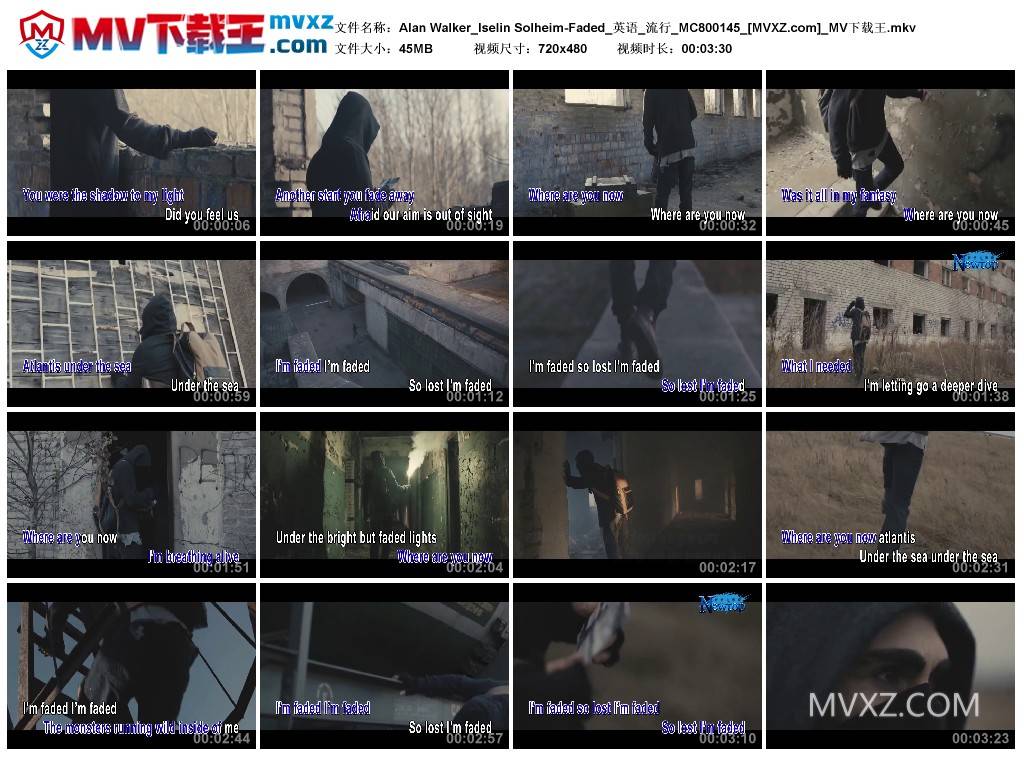 Alan Walker_Iselin Solheim-Faded_英语_流行_MC800145